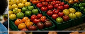 Fresh tomatoes and produce on display
